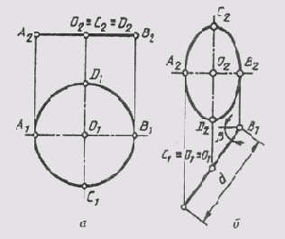 § 43.  